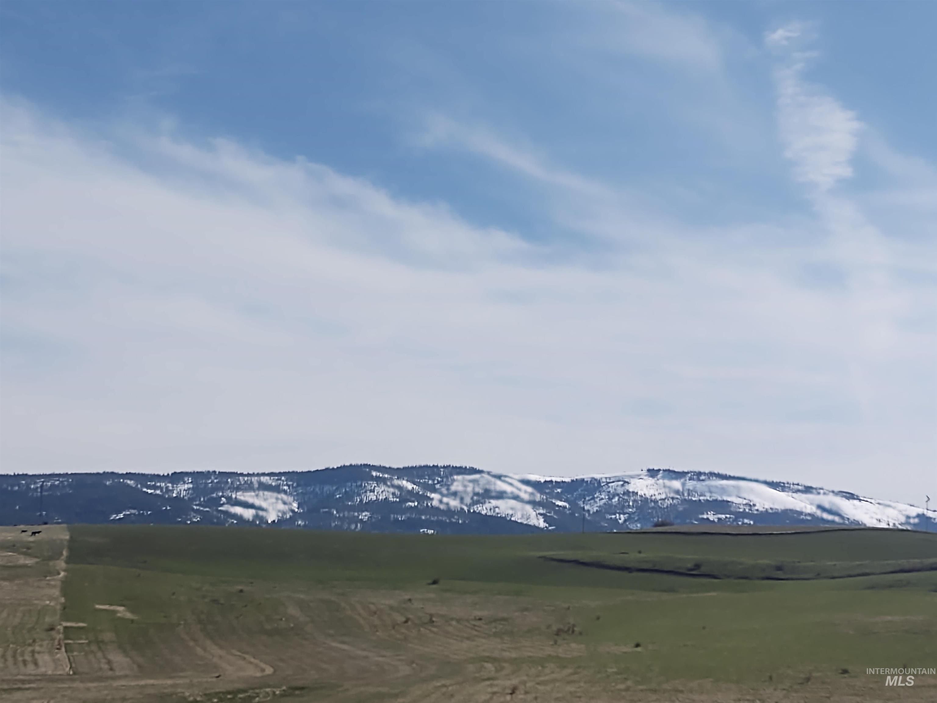 Grangeville, Idaho County, ID Undeveloped Land for sale Property ID