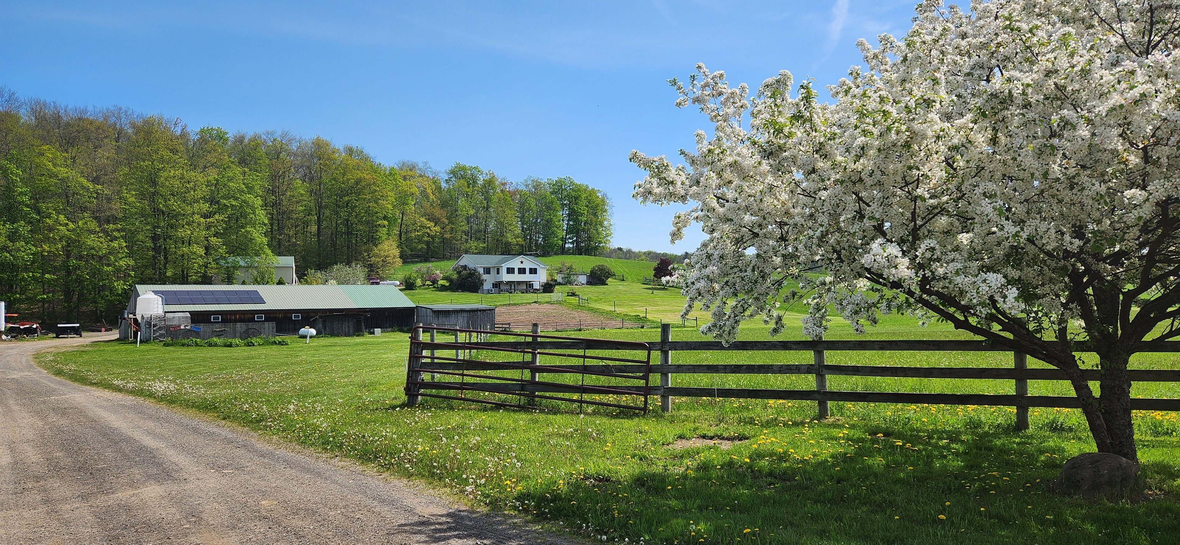 7880 NY79, Whitney Point, NY 13862 LandWatch