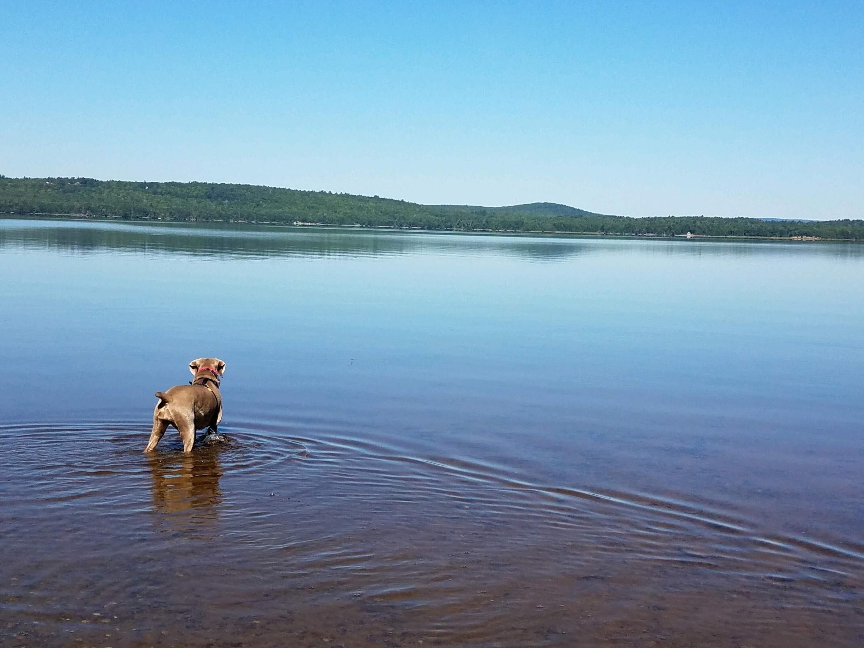 Waltham, Hancock County, ME Undeveloped Land, Lakefront Property