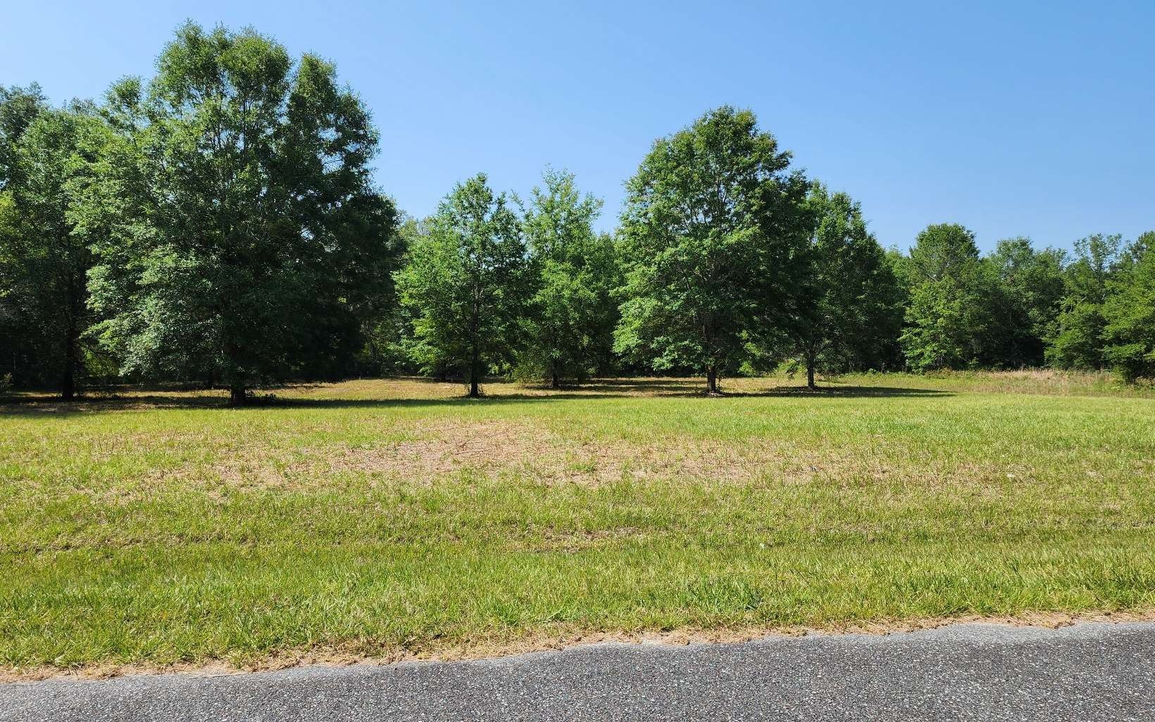 Wellborn, Suwannee County, FL Farms and Ranches, Homesites for sale