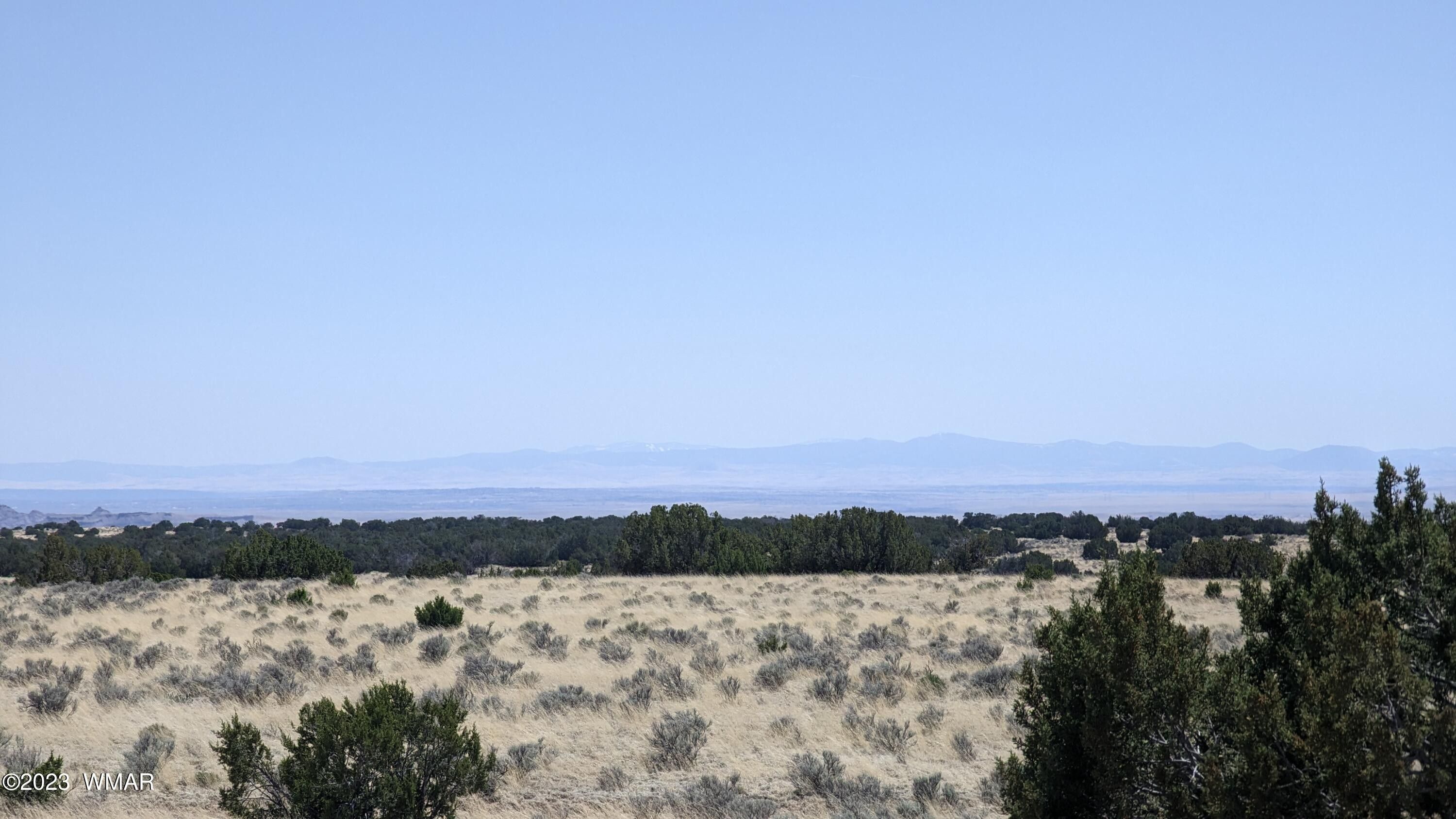 St Johns, Apache County, AZ for sale Property ID 416460821 LandWatch