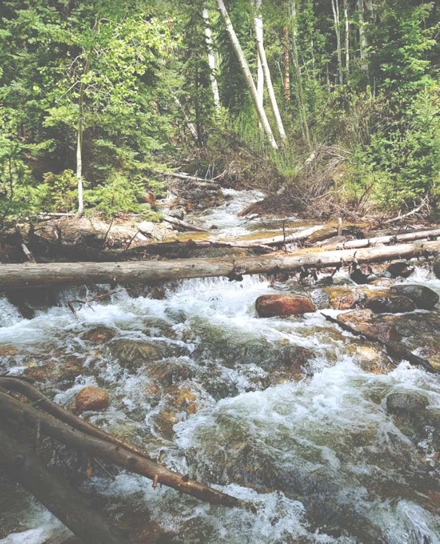 Rand, Jackson County, CO Recreational Property, Riverfront Property