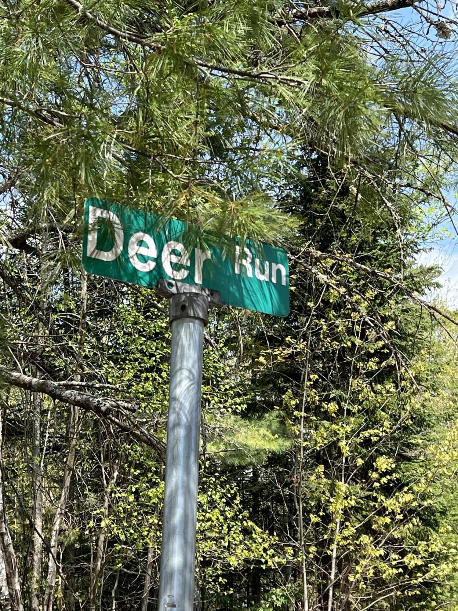 Stetson, Penobscot County, ME Farms and Ranches for sale Property ID