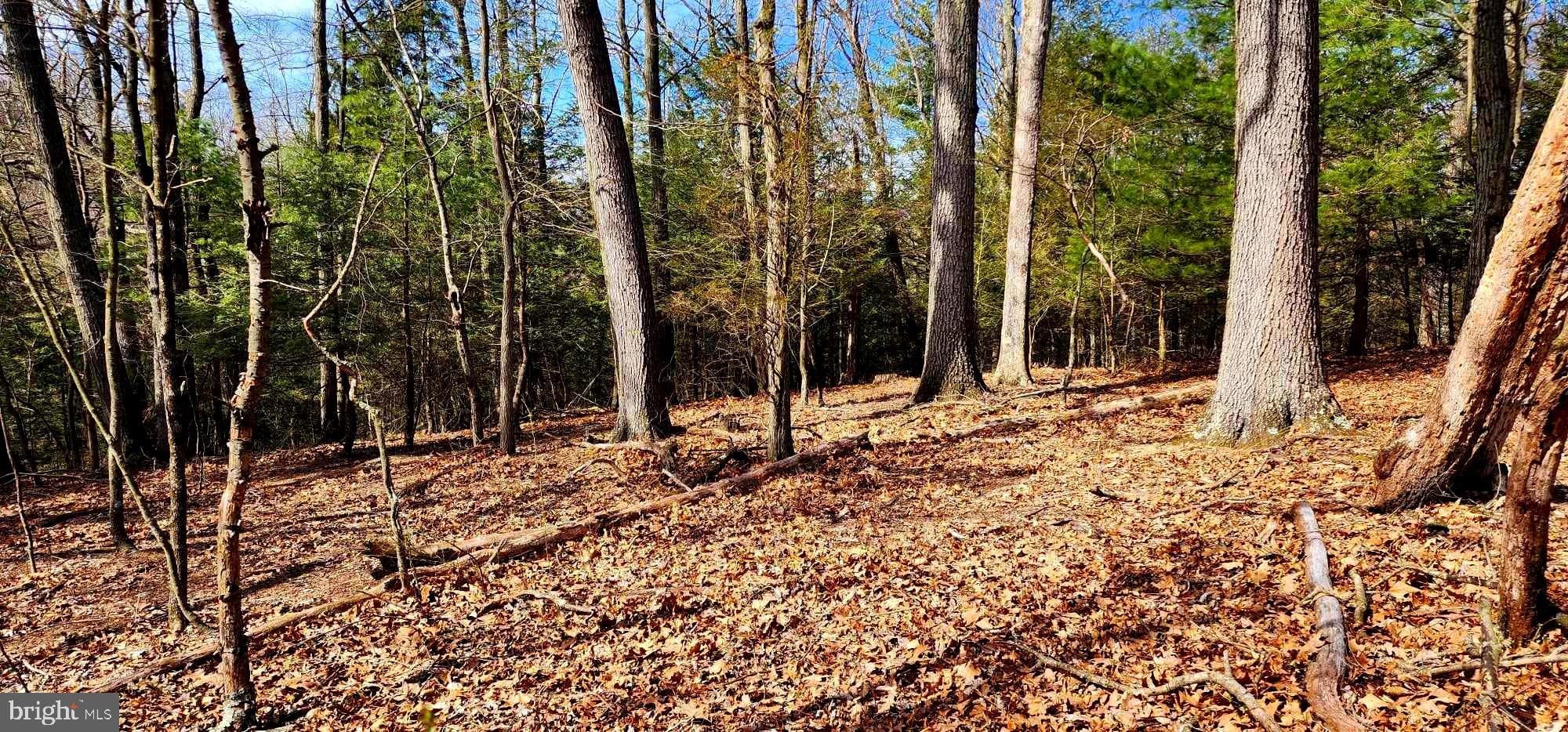 Newport, Perry County, PA Farms and Ranches for sale Property ID