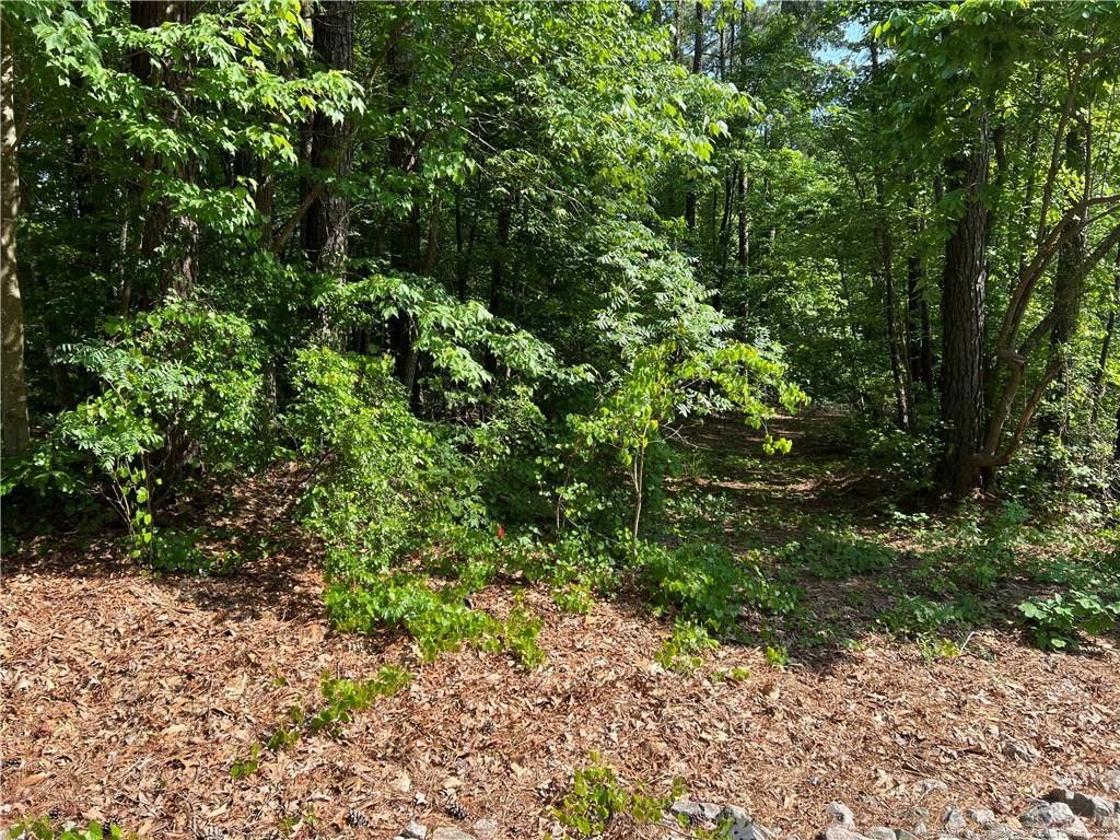 Sanford, Lee County, NC Farms and Ranches, Homesites for sale Property