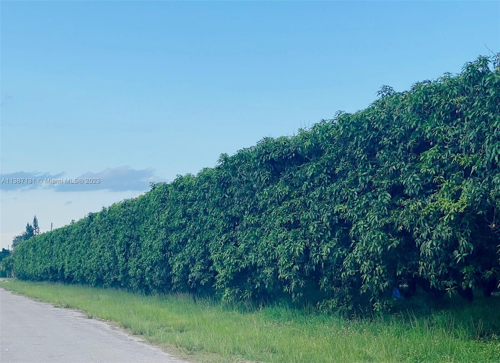 Homestead, MiamiDade County, FL Farms and Ranches for sale Property ID