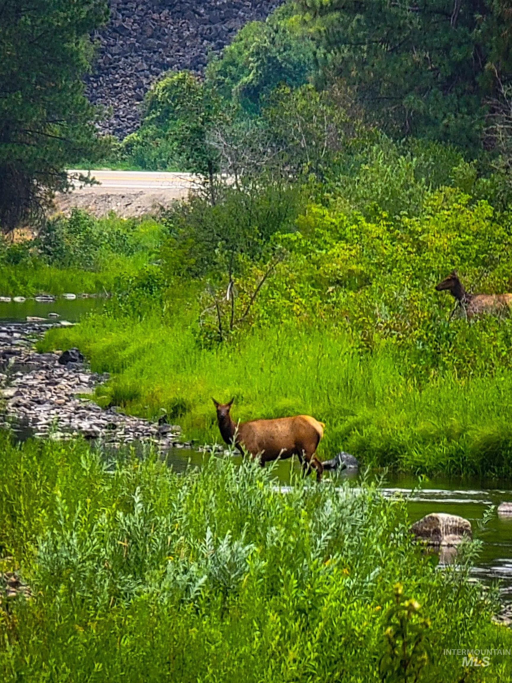 Boise, Boise County, ID Farms and Ranches for sale Property ID