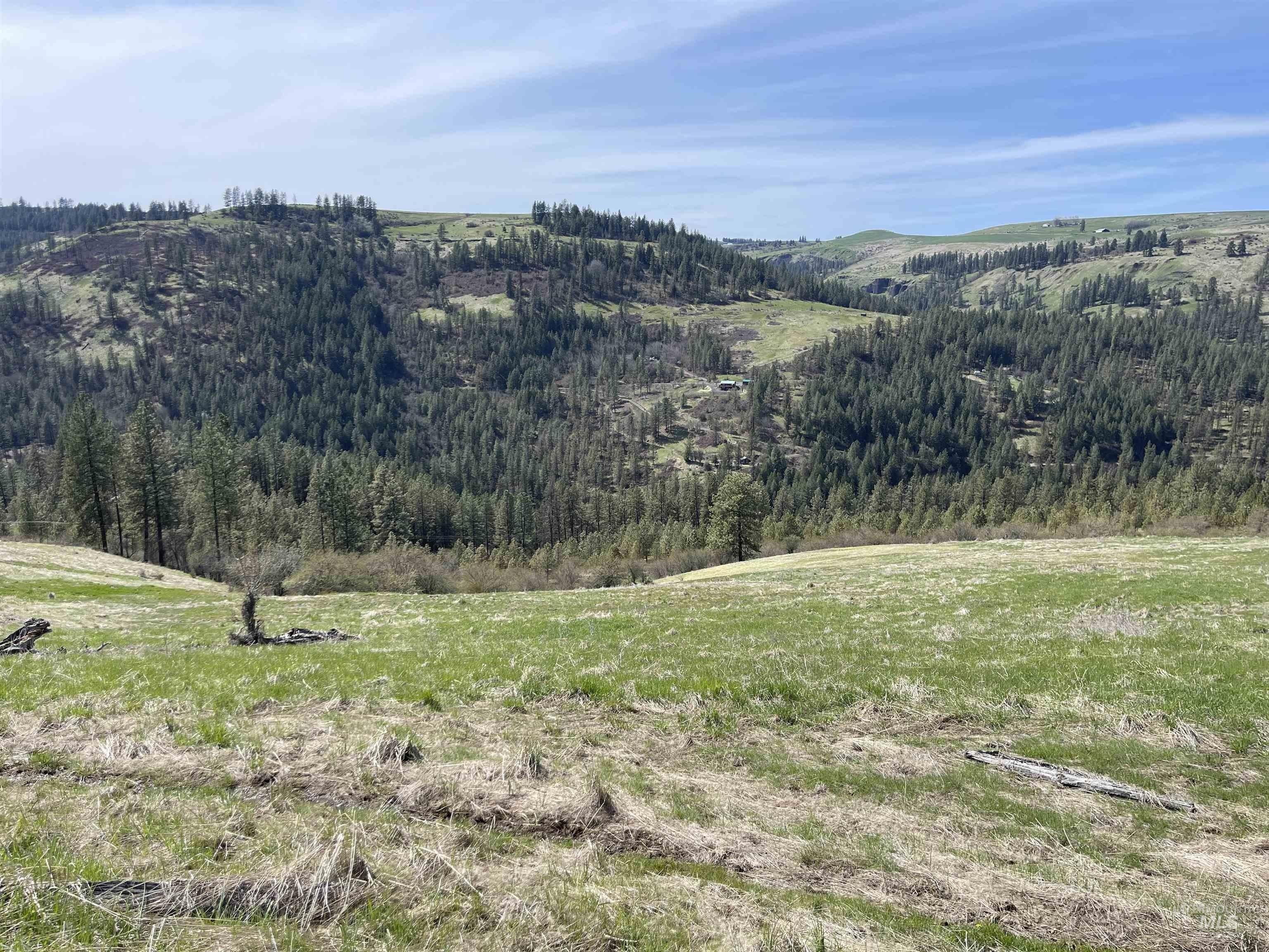 Harpster, Idaho County, ID Farms and Ranches, Homesites for sale