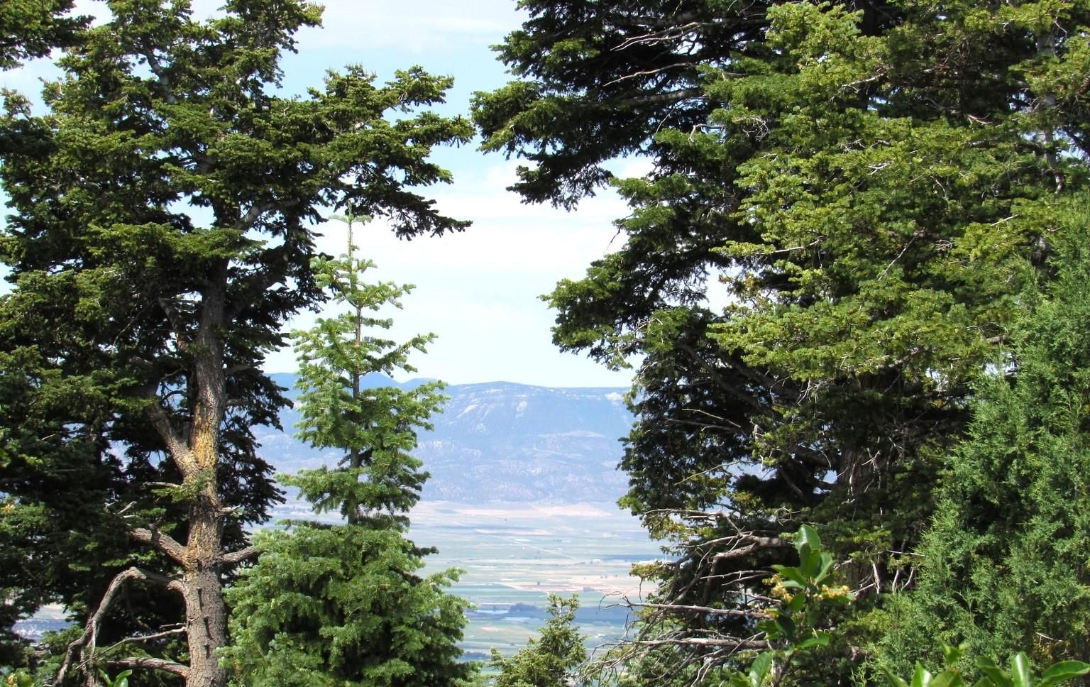 5 acres in Mount Pleasant, UT, 84647 MLS 1977224 LandWatch