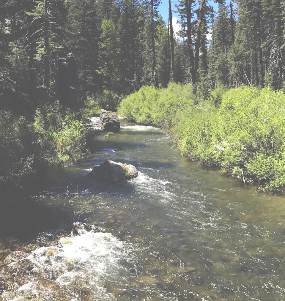 Chester, Plumas County, CA Recreational Property, Riverfront Property, Waterfront Property for
