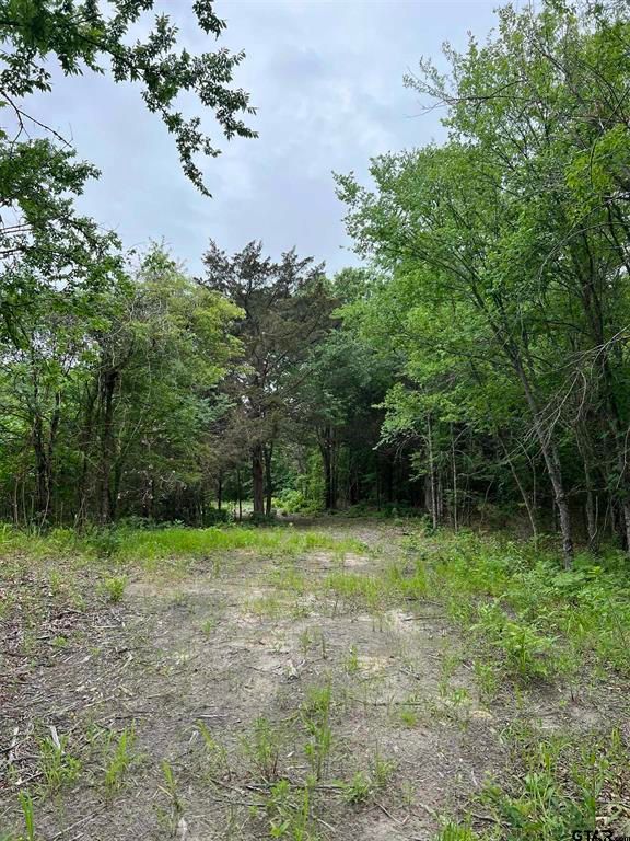 TBD County Road 455, Mineola, TX 75773 MLS 23005937 LandWatch