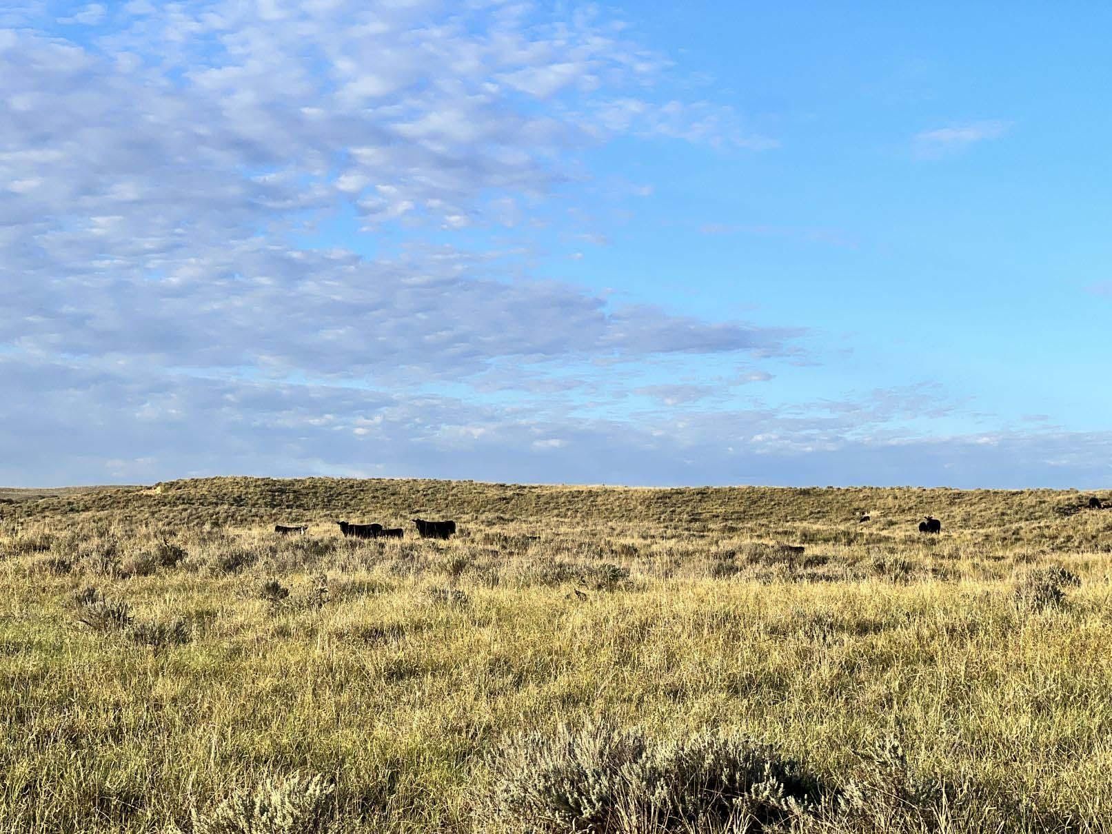 Crook, Logan County, CO Farms and Ranches for sale Property ID