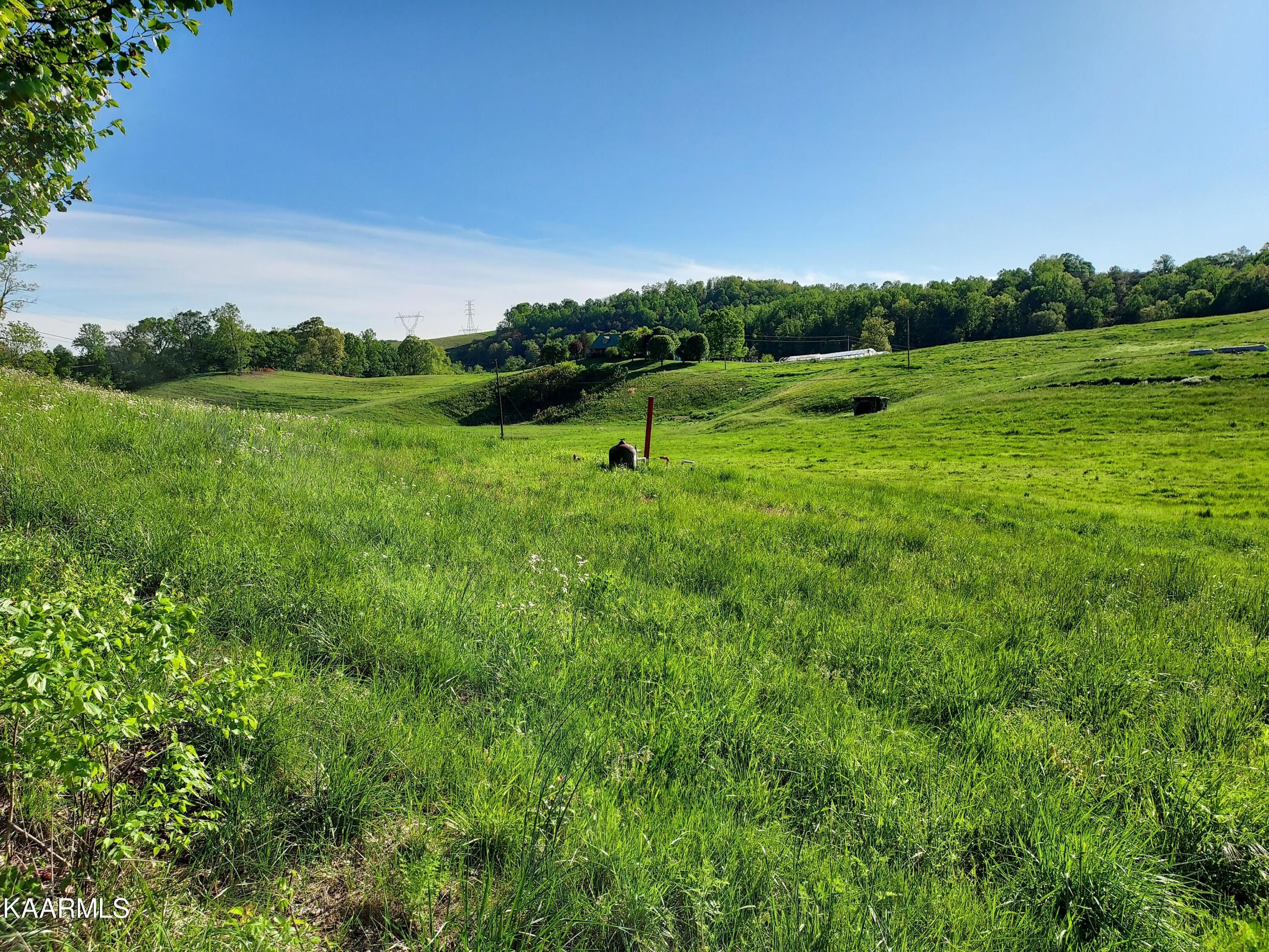 Rutledge, Grainger County, TN Commercial Property for sale Property ID