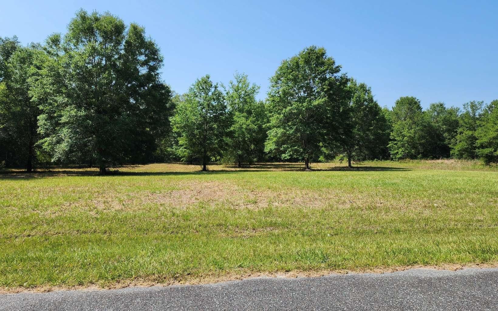 Wellborn, Suwannee County, FL Undeveloped Land, Homesites for sale
