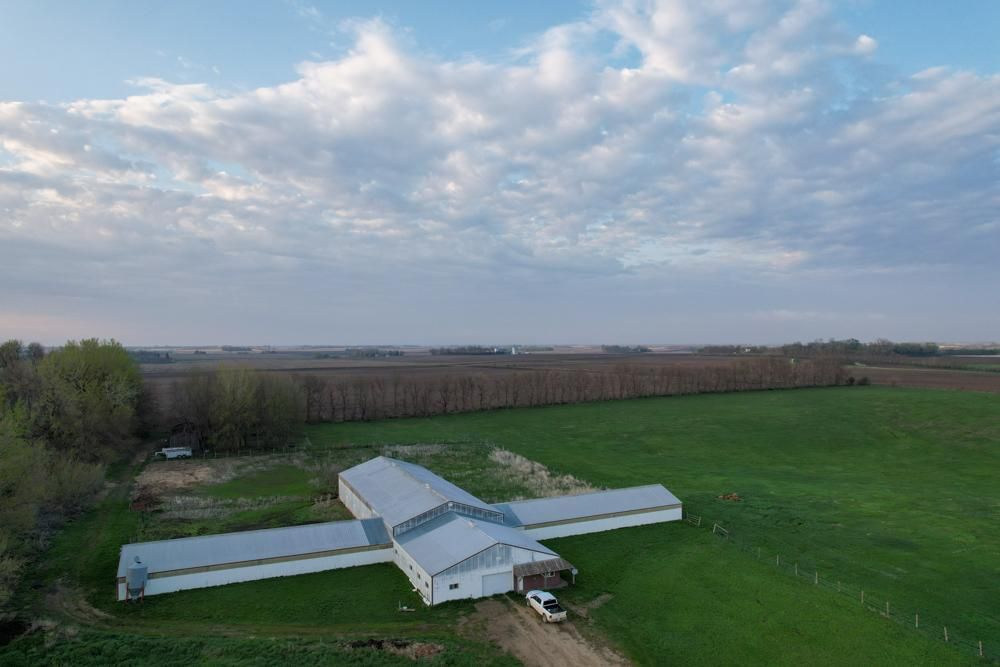 Westbrook, Cottonwood County, MN Farms and Ranches, Horse Property
