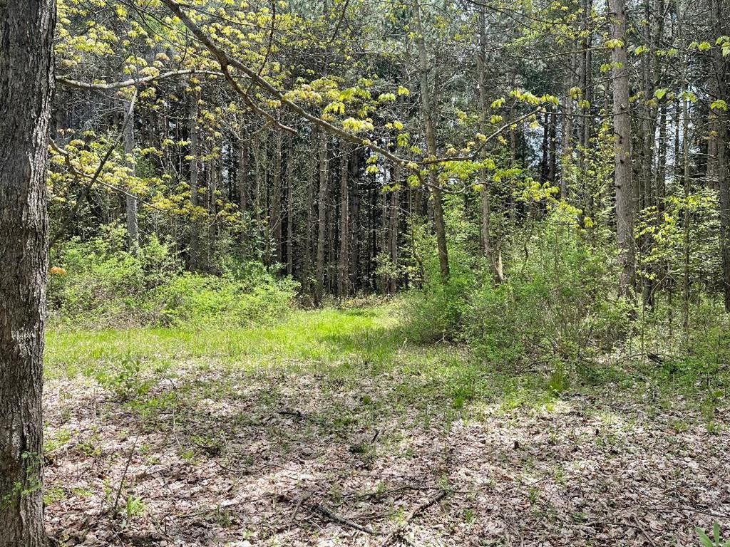 Columbia Cross Roads, Bradford County, PA Undeveloped Land for sale
