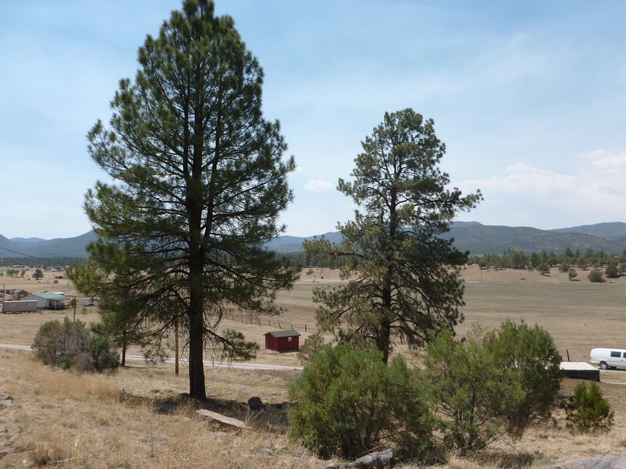 Reserve, Catron County, NM Recreational Property, Homesites for sale