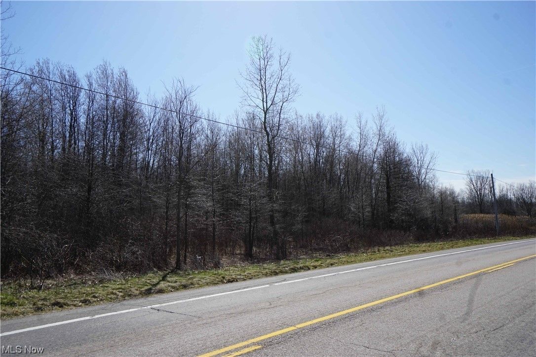 Williamsfield, Ashtabula County, OH Undeveloped Land for sale Property