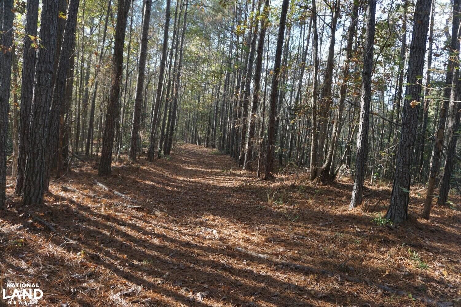 Moundville, Hale County, AL Recreational Property, Timberland Property