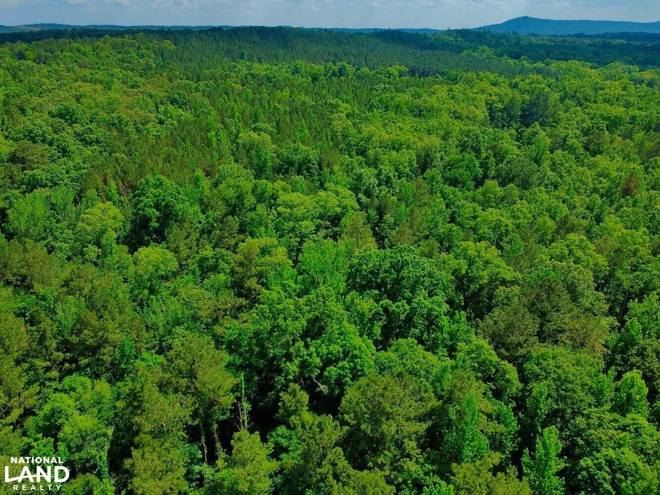 Sterrett, Shelby County, AL Recreational Property, Hunting Property for