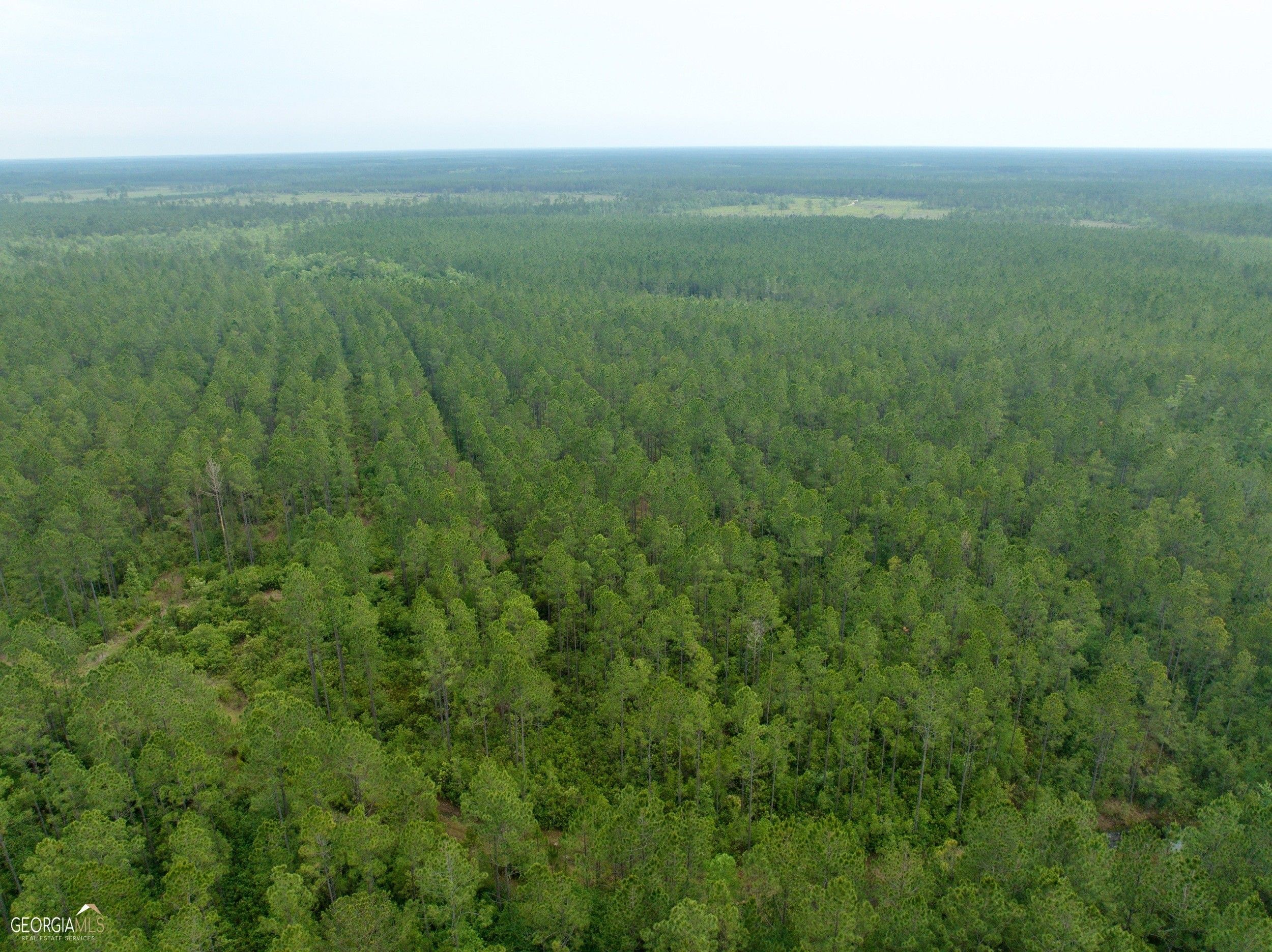 Waycross, Ware County, GA Farms and Ranches for sale Property ID