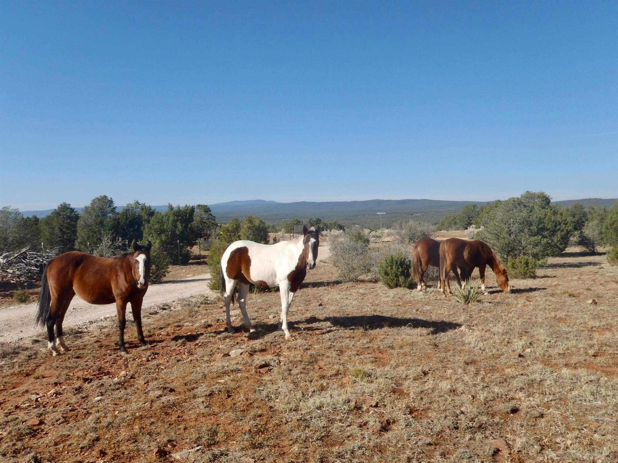 Serafina, San Miguel County, NM Farms and Ranches for sale Property ID