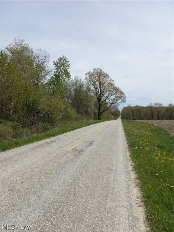 Williamsfield, Ashtabula County, OH Undeveloped Land for sale Property
