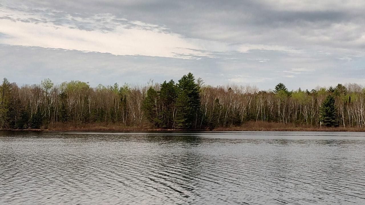 Tomahawk, Lincoln County, WI Farms and Ranches, Lakefront Property