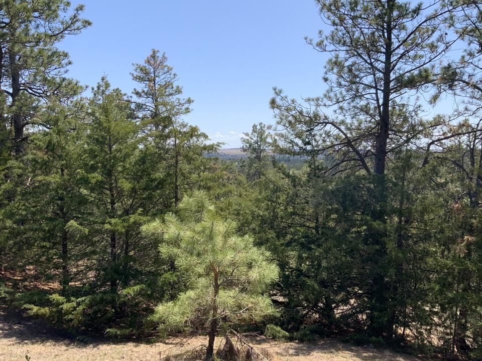 159.9 acres in Springview, NE, 68778 LandWatch