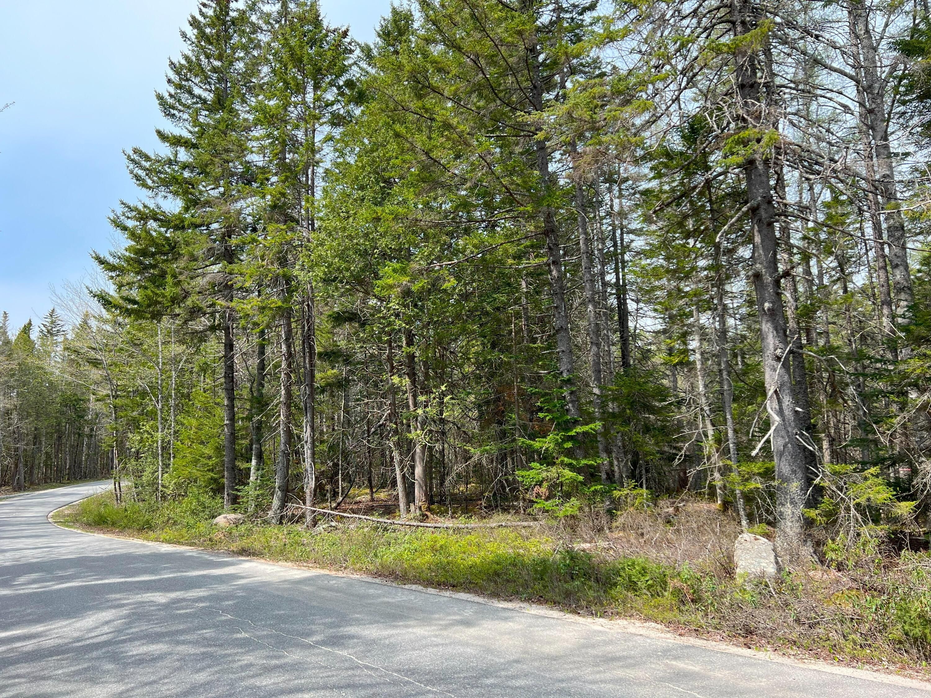Gouldsboro, Hancock County, ME Undeveloped Land for sale Property ID