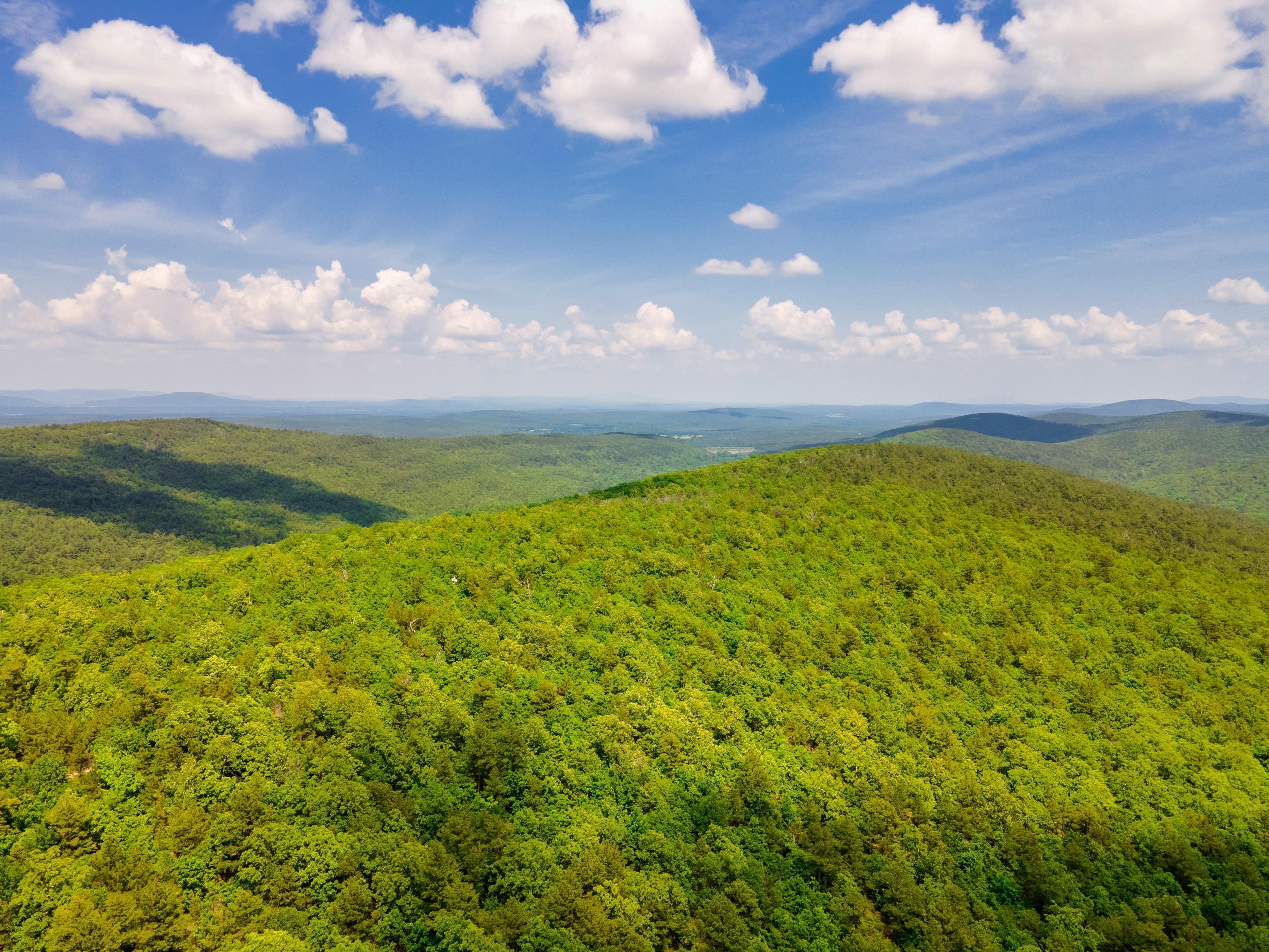 Wilburton, Latimer County, OK Recreational Property, Timberland