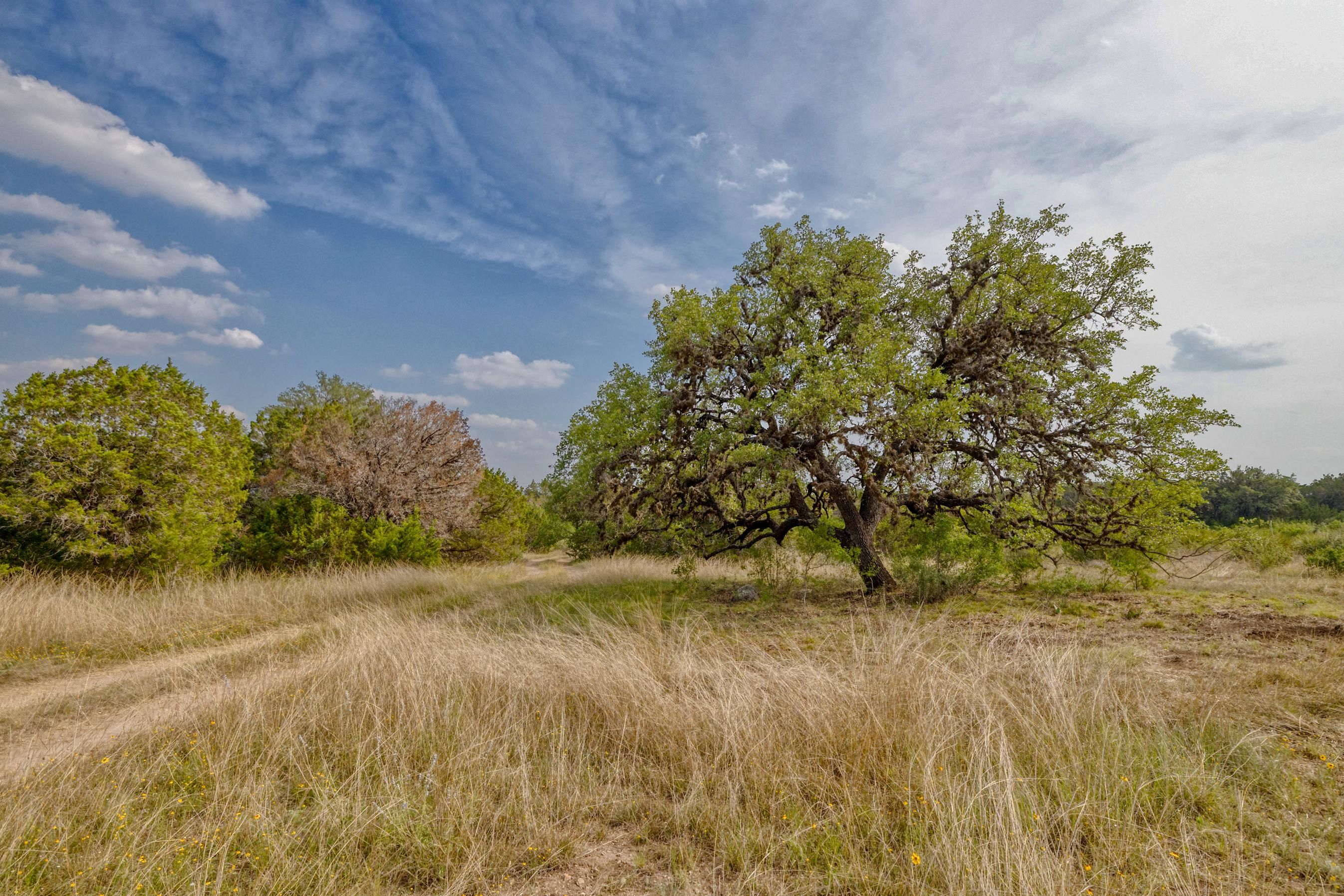 60 acres in Leakey, TX, 78873 LandWatch