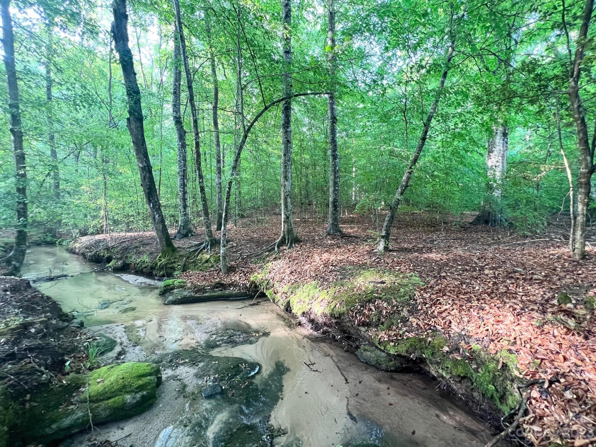 Taylorsville, Alexander County, NC Farms and Ranches for sale Property