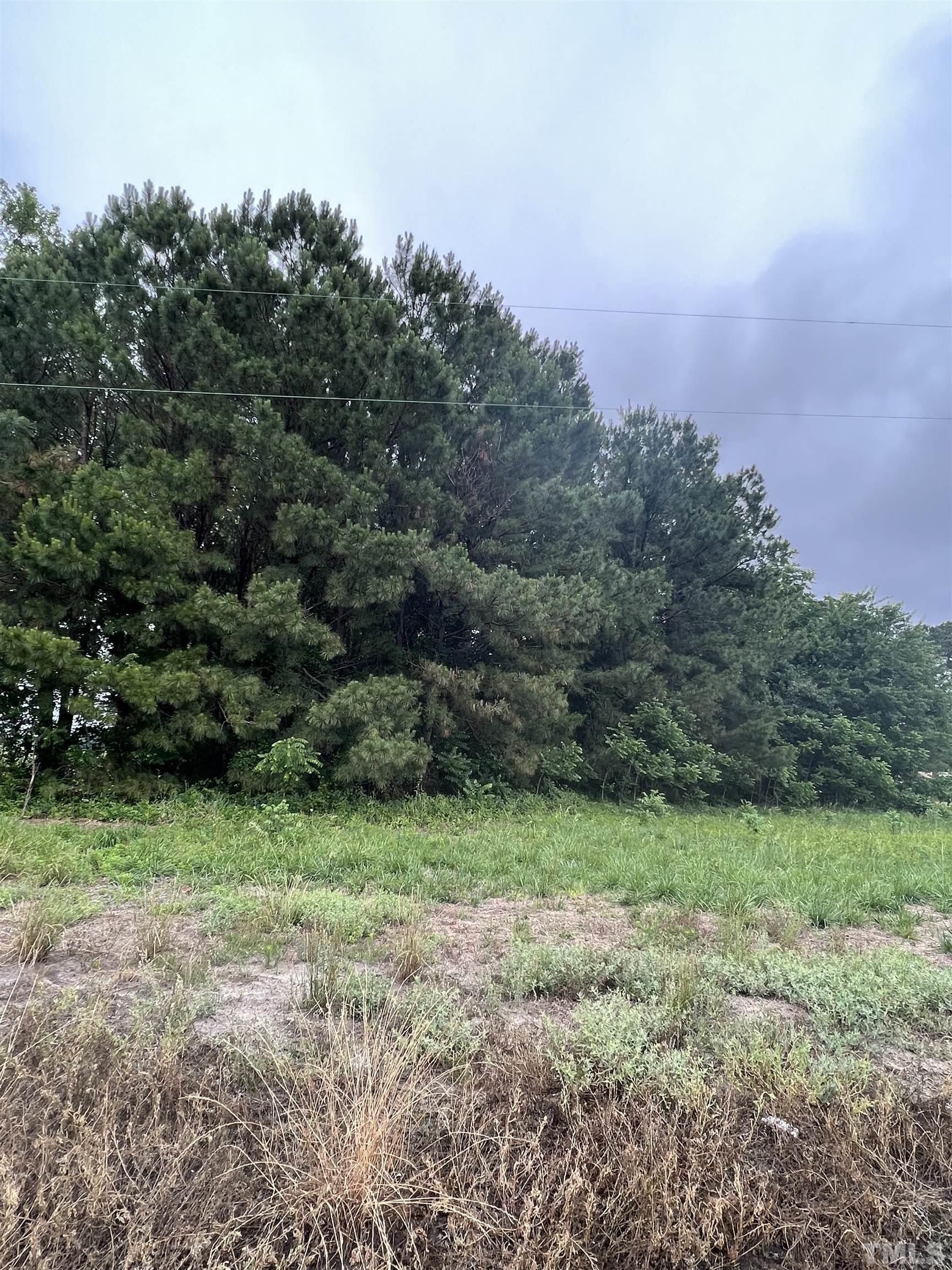 La Grange, Wayne County, NC Undeveloped Land, Homesites for sale