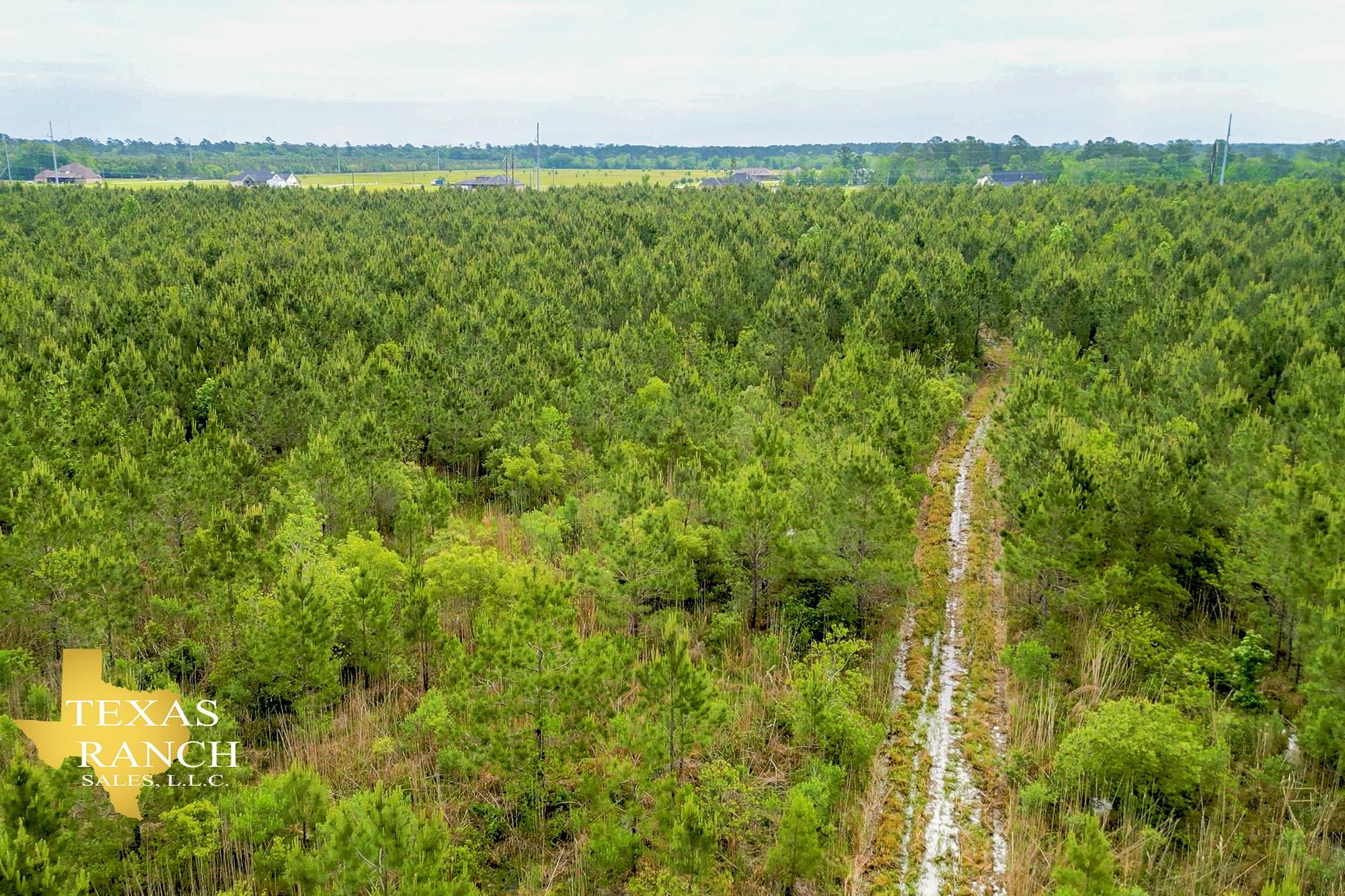 45 acres in Beaumont, TX, 77705 LandWatch