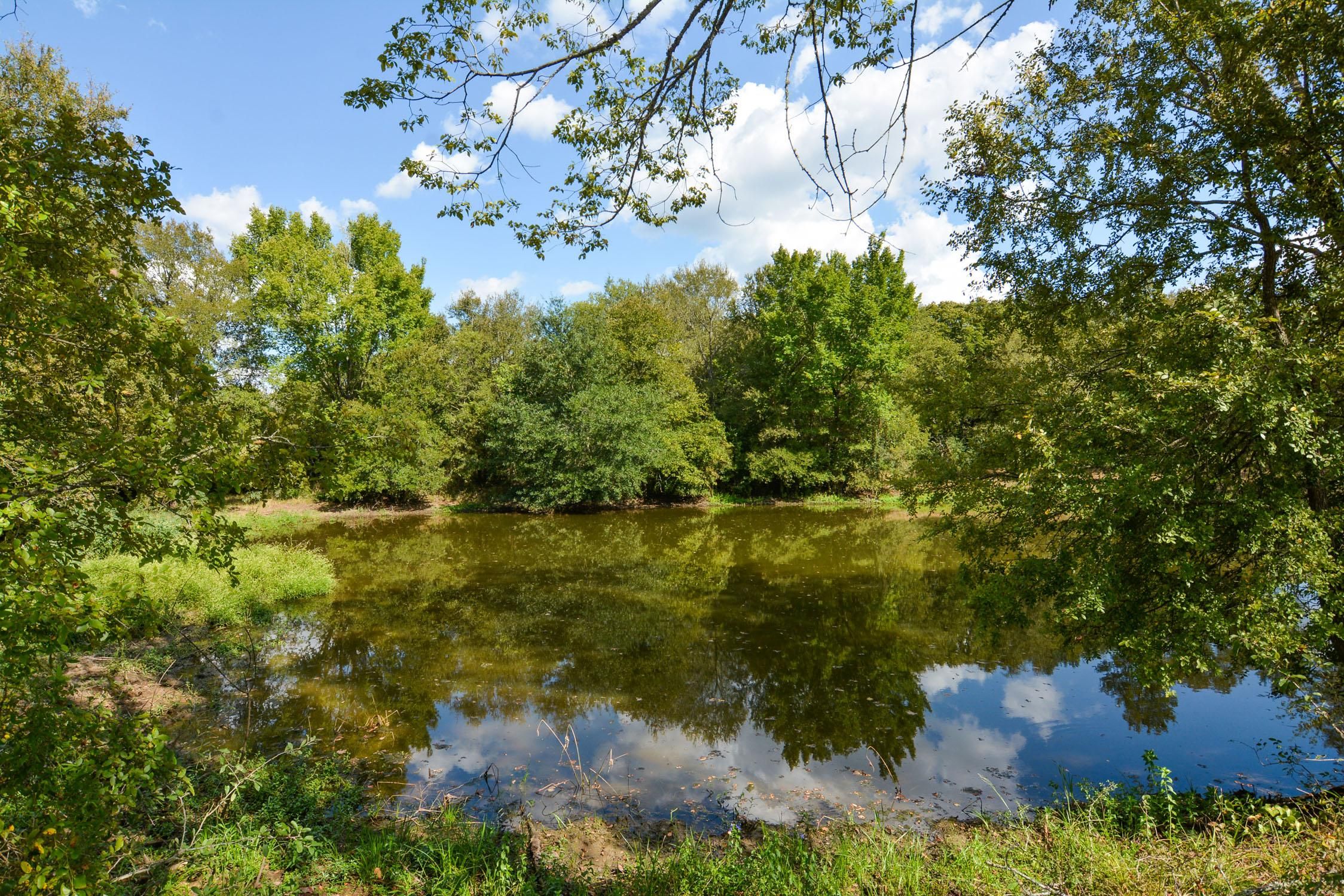 Paige, Bastrop County, TX Recreational Property, Undeveloped Land