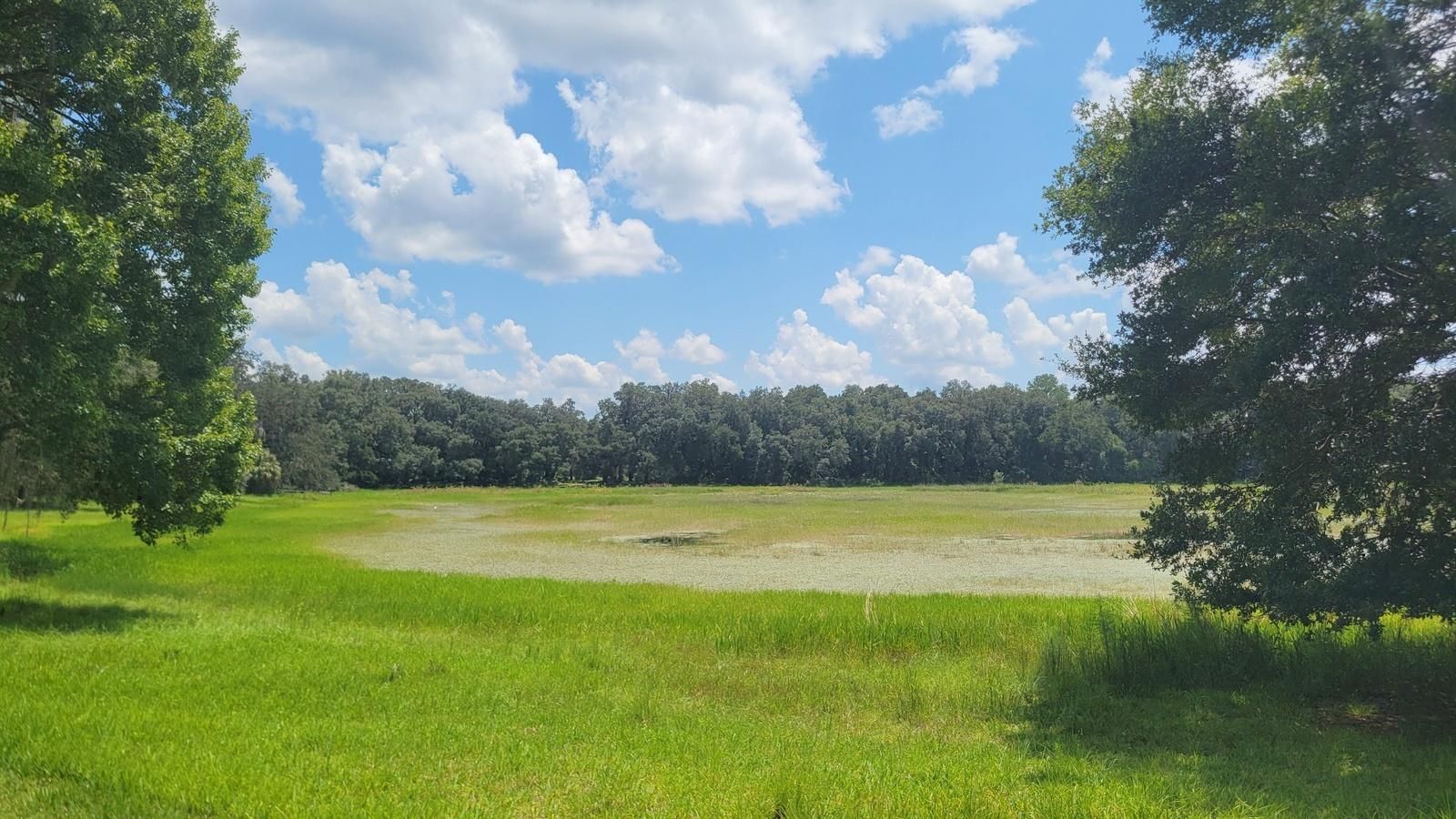 Fort McCoy, Marion County, FL Farms and Ranches, Undeveloped Land for