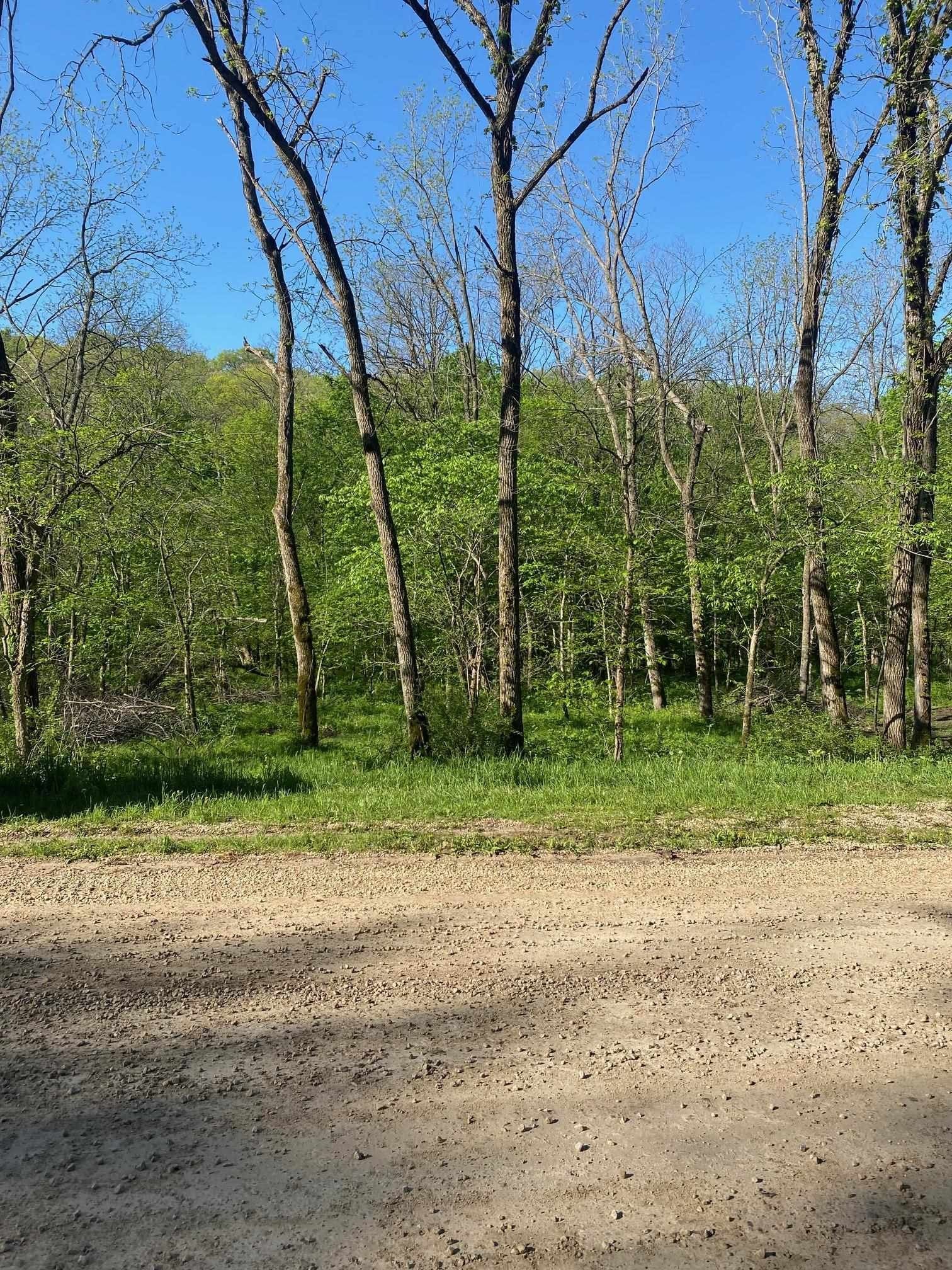 Mount Hope, Grant County, WI Undeveloped Land for sale Property ID