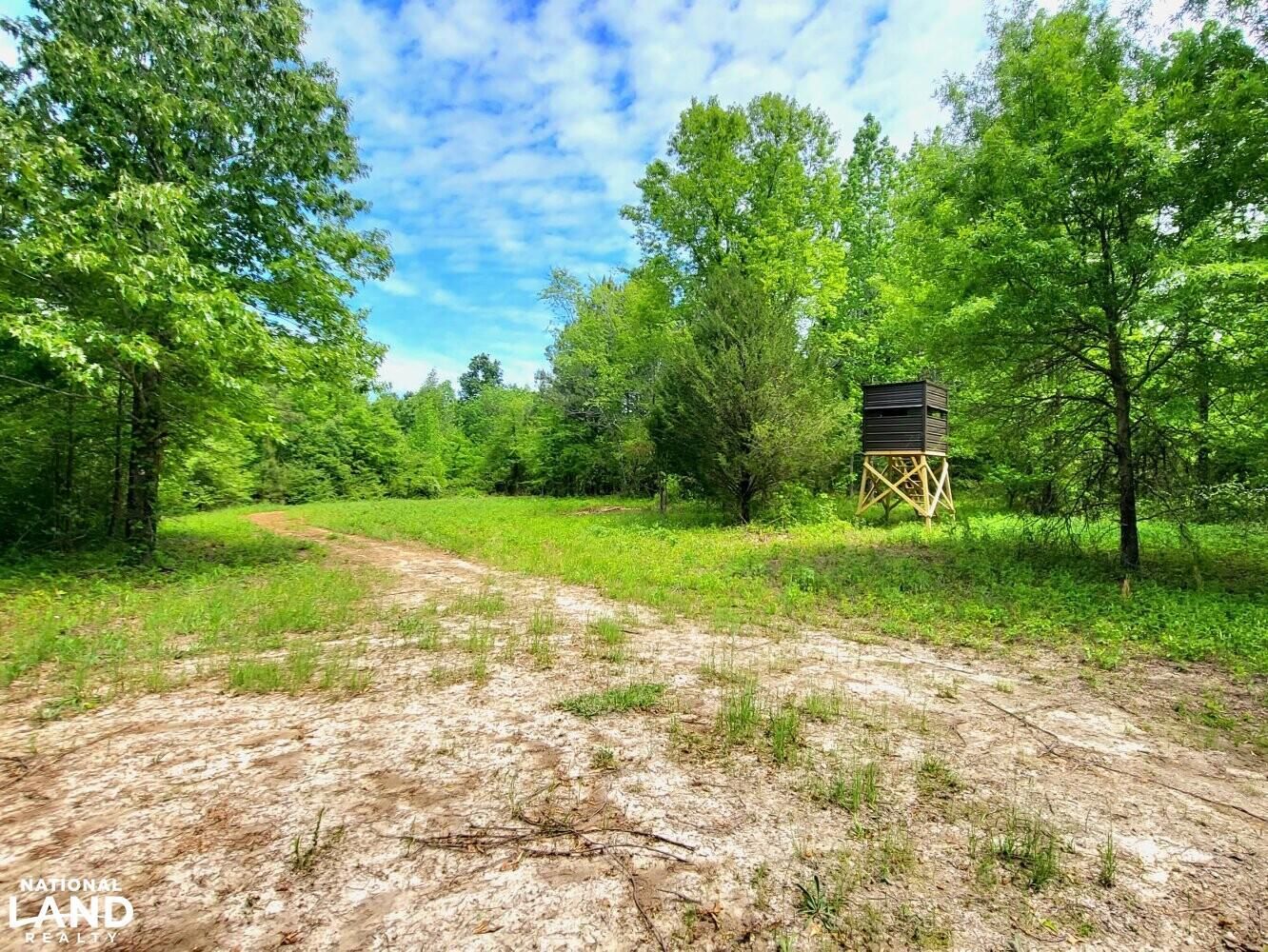 Hollister, Halifax County, NC Recreational Property, Timberland