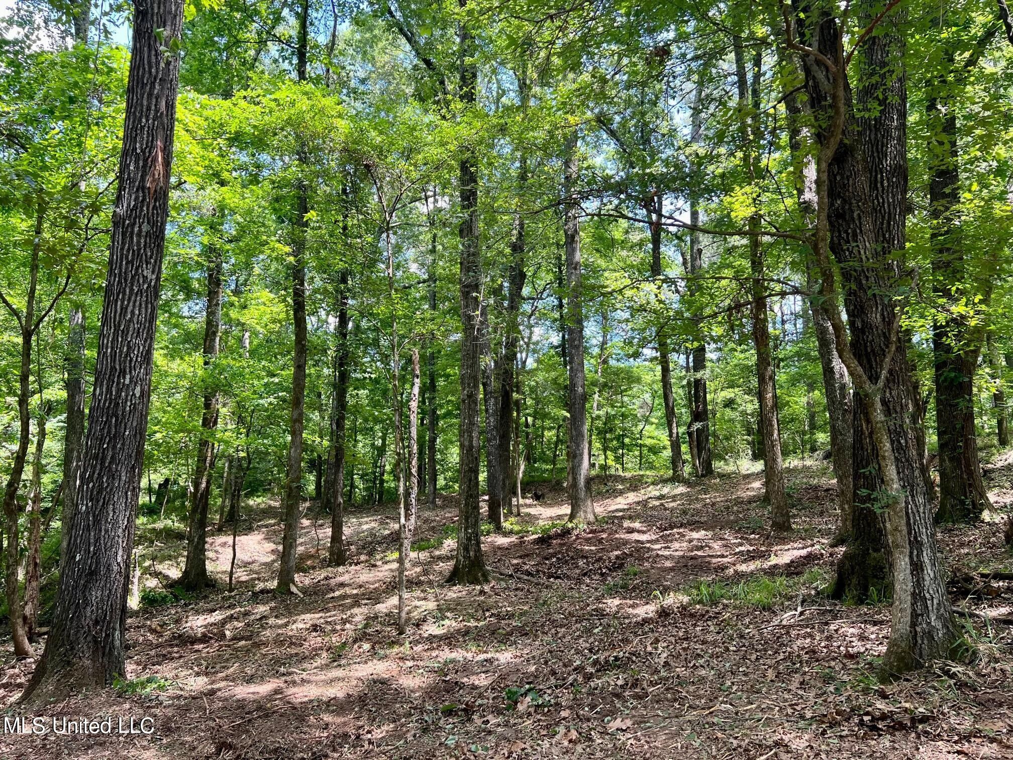 Madison, Madison County, MS Undeveloped Land for sale Property ID