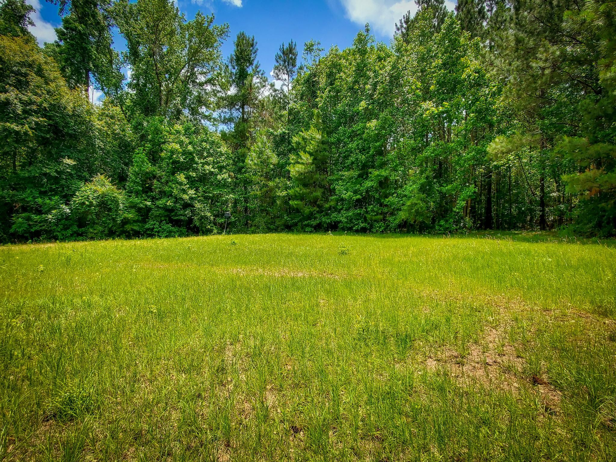 Daisetta, Liberty County, TX Farms and Ranches, Recreational Property