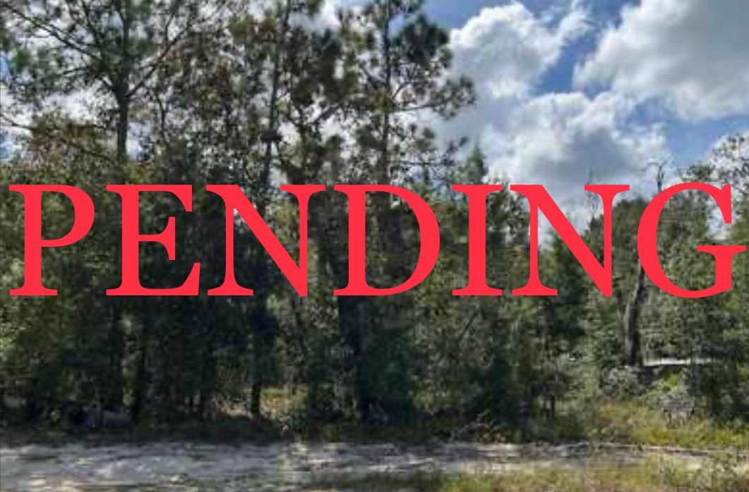 Keystone Heights, Clay County, FL Recreational Property, Undeveloped