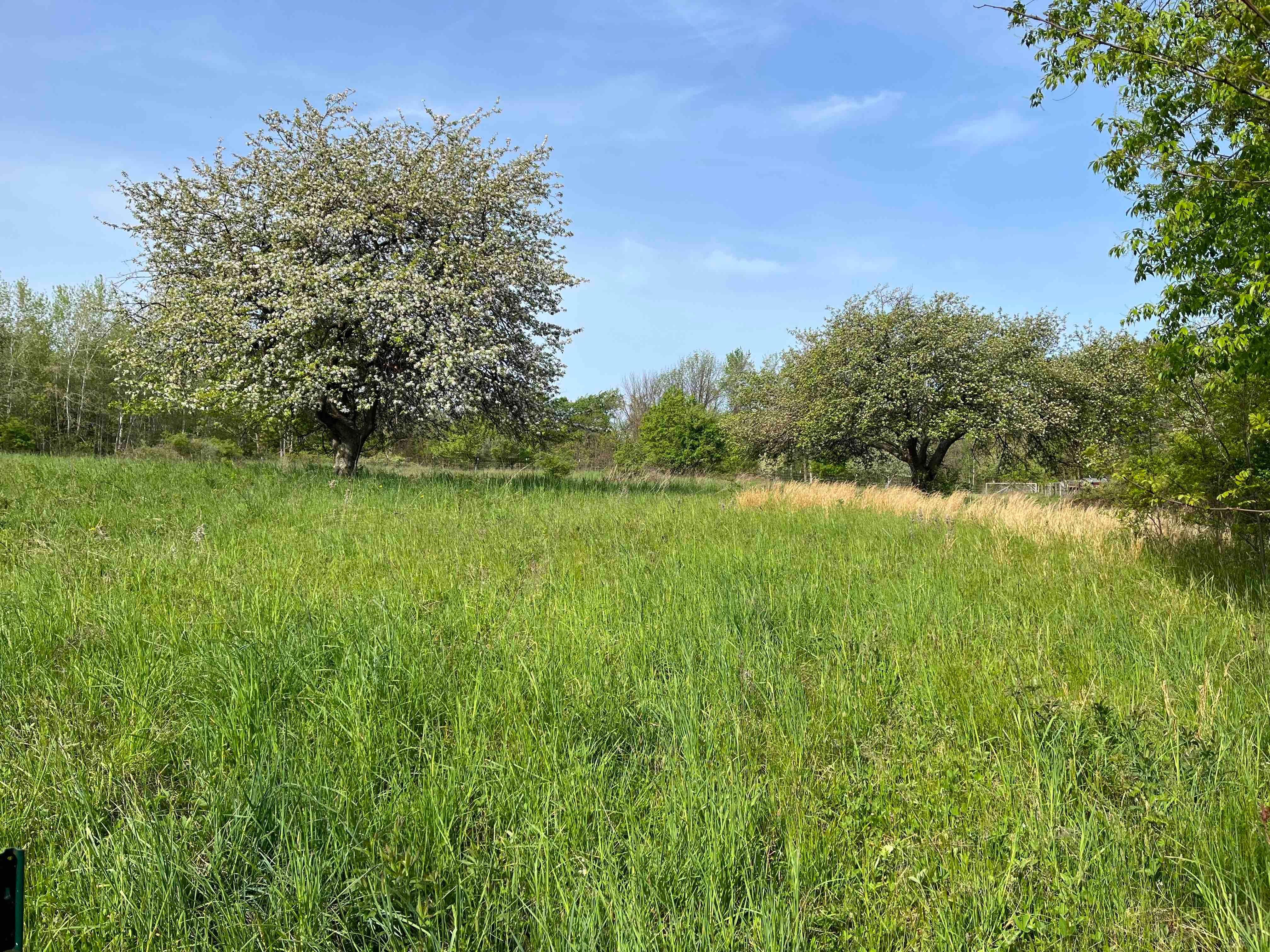 Ripley, Chautauqua County, NY Recreational Property, Hunting Property