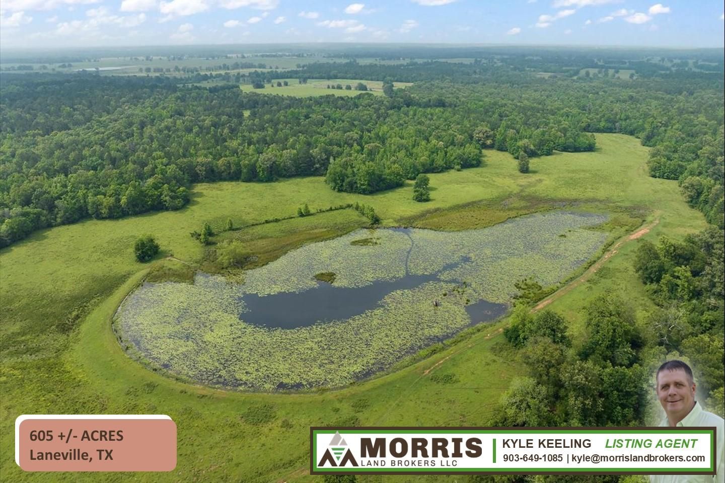 614 acres in Laneville, TX, 75667 MLS 23006272 LandWatch