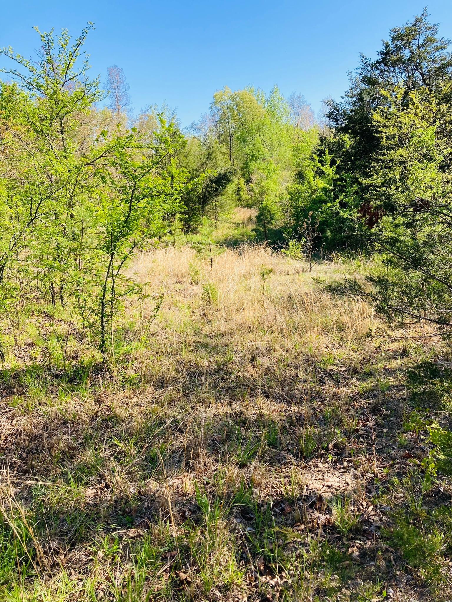Calico Rock, Izard County, AR Hunting Property for sale Property ID