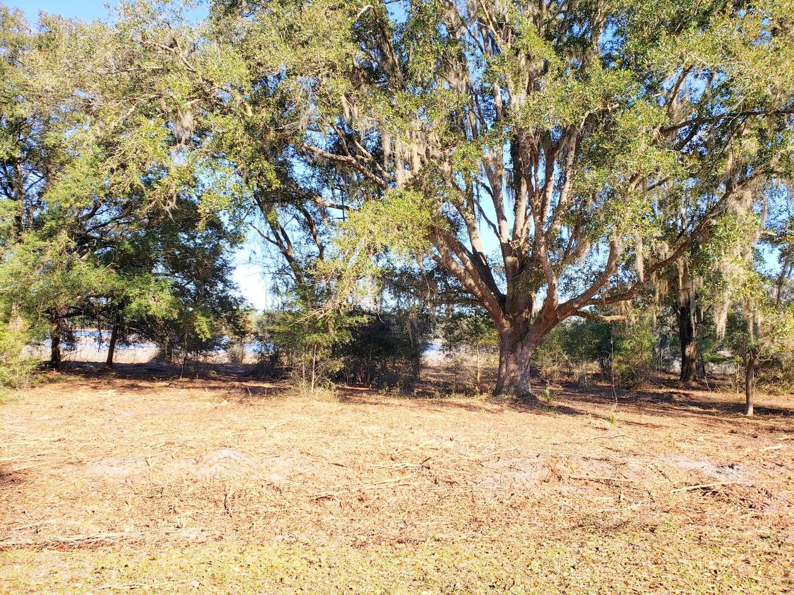 Fort McCoy, Marion County, FL Farms and Ranches, Undeveloped Land for