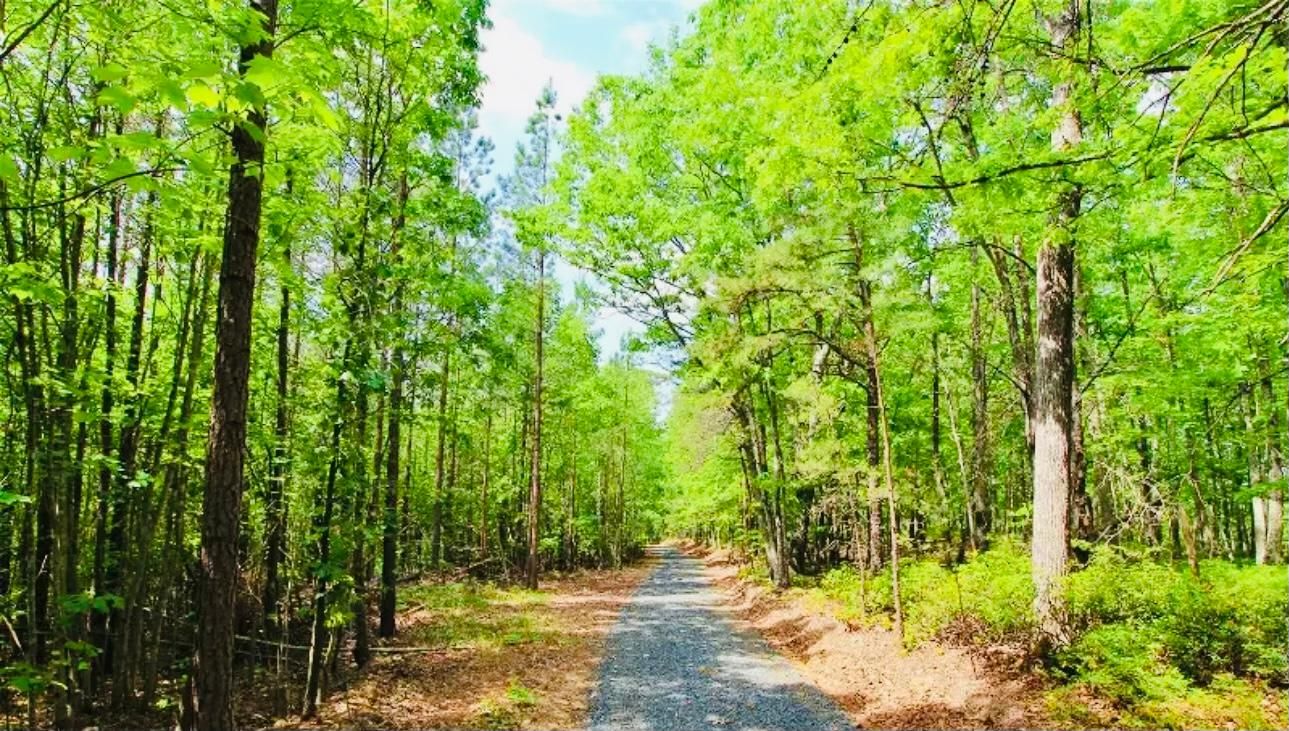 Appomattox, Appomattox County, VA Recreational Property, Timberland