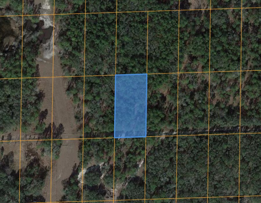 Bronson, Levy County, FL Undeveloped Land, Homesites for sale Property