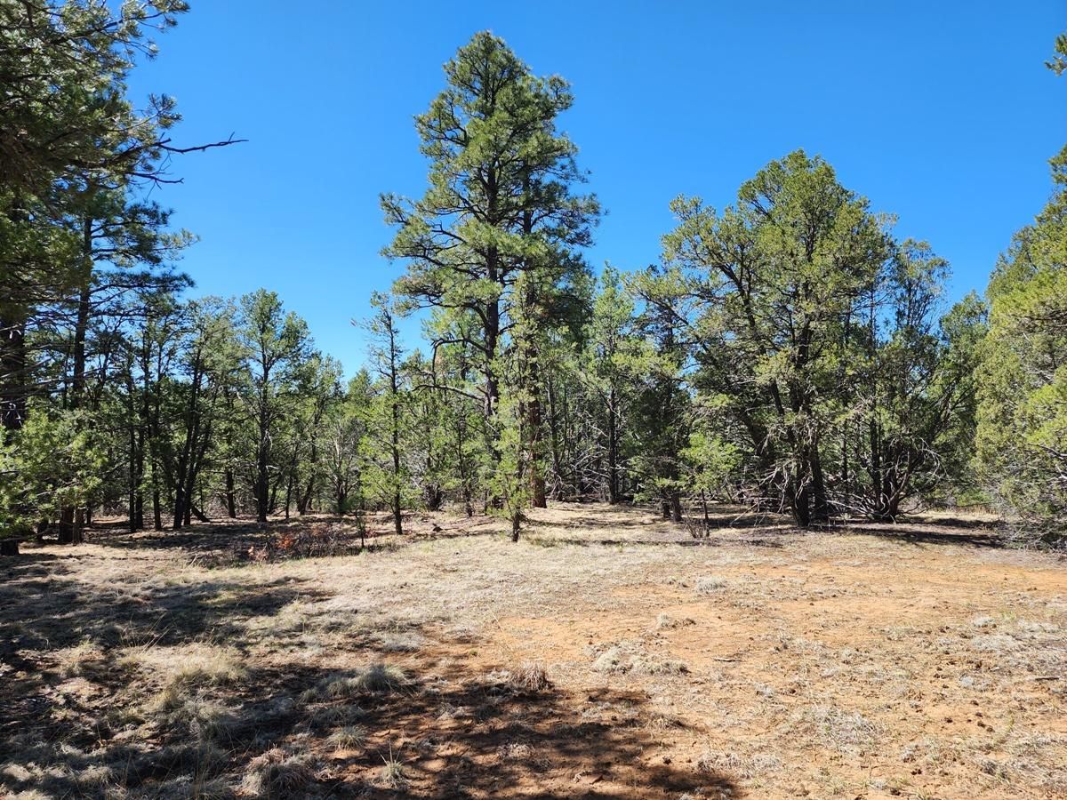 Aguilar, Las Animas County, CO Recreational Property for sale Property