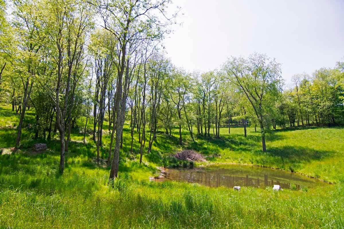 Lewisburg, Greenbrier County, WV Undeveloped Land for sale Property ID